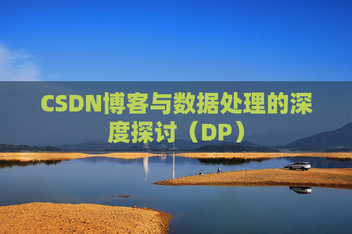 CSDN博客与数据处理的深度探讨（DP）